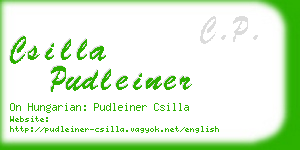 csilla pudleiner business card